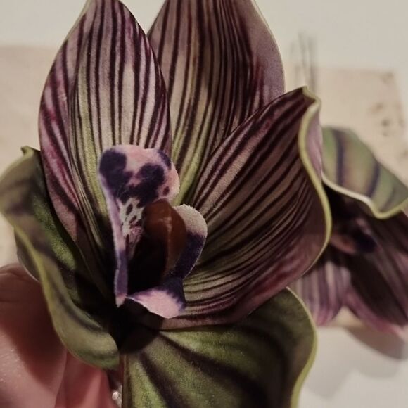 New Or - Picture 7 of 8